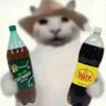 lendinha bissex's profile picture