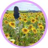 Profilbild von みーる🌷
