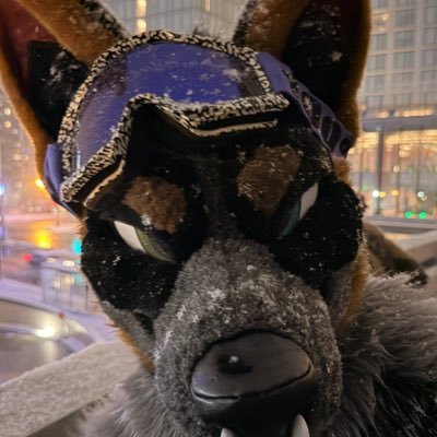 ⛓️ 𝖍𝖆𝖑𝖋𝖆𝖍𝖔𝖚𝖓𝖉 ⛓️'s profile picture