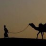 Adel عادل 的头像