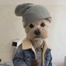 PuckishKero profil fotoğrafı