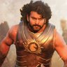 Profilbild von Surya Darling