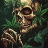 pothead 的头像