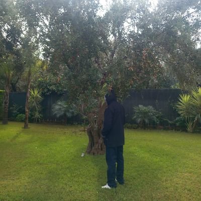 chaouibati's profile picture
