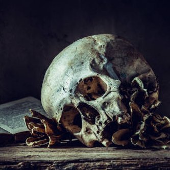 FavoriteHorror's profile picture