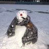 Profilbild von Nokia04