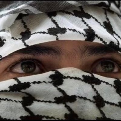 KomailK56216's profile picture