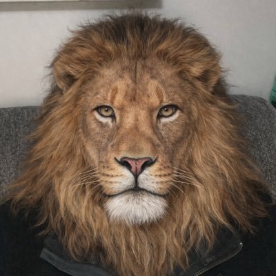 LionSunLegacy's profile picture