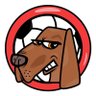 Profilbild von AI Ballers Lab