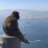 Фото профиля frybag
