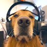 Meow's profile picture