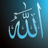 syed anfal's profile picture