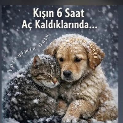 Yaşam Hakkı Savunucusu Oya 💯🇹🇷's profile picture