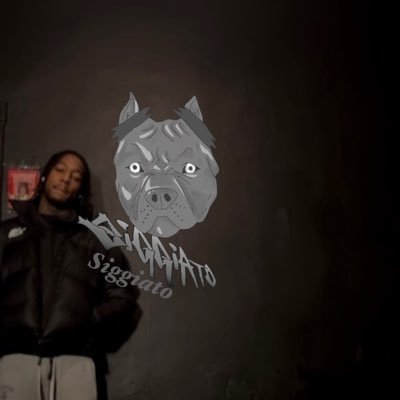 donsiggiato's profile picture
