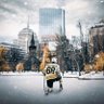 fcpbruins's profile picture