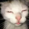 Tyler profil fotoğrafı