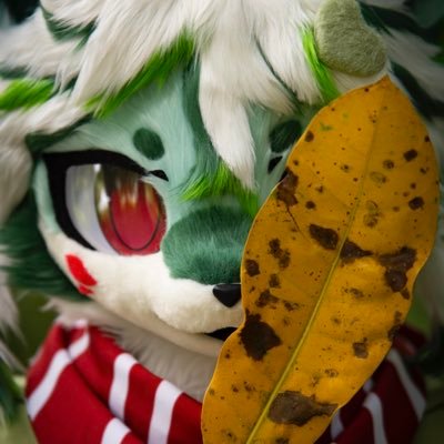 Tommytang's profile picture