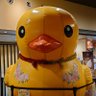 モッチー 的头像