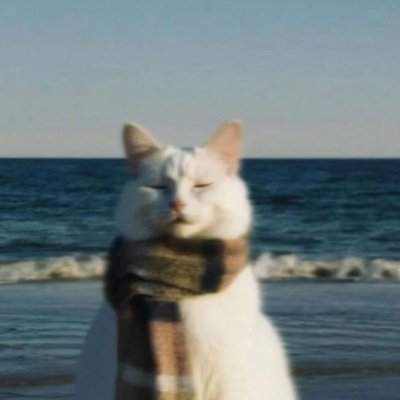 away from keyboard's profile picture