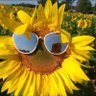 Profilbild von Prabhat