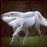 DocDapper's profile picture