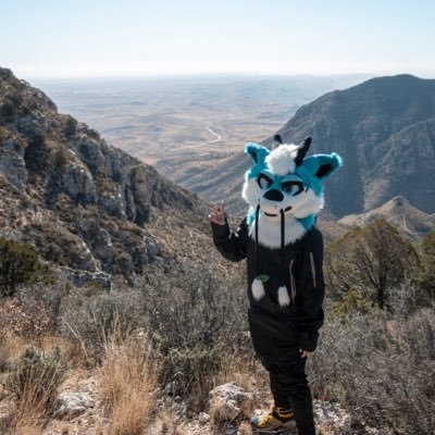 RigelDerg's profile picture