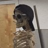 Skeleton babu 💀's profile picture