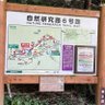 jp_trdr 的头像