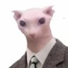 Radish's profile picture