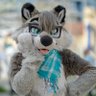 ColeWuff 🐺 🔜 FD 的头像