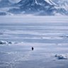 Фото профиля Nietzschean Penguin