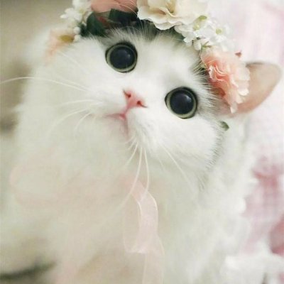 oopsleehye's profile picture
