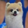 Tan_Tarn_ :'s profile picture