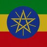Profilbild von Sintayehu Brhanu