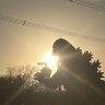 Фото профиля 肘の妖精 エル坊