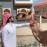 حمد بن ناصر مانع ال حيدر's profile picture