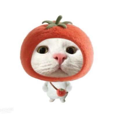 pnxizee's profile picture