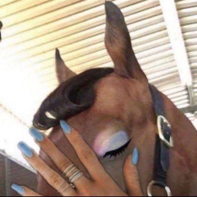 von bojaž's profile picture