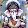Kalu ram Choudhary's profile picture