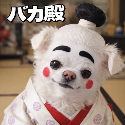🎀さーなママと４姉妹&保護犬ゆうま🎀's profile picture
