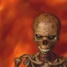 Speis's profile picture