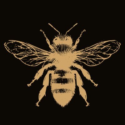lesaurores's profile picture