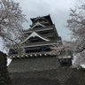ほっしゅ🇯🇵's profile picture