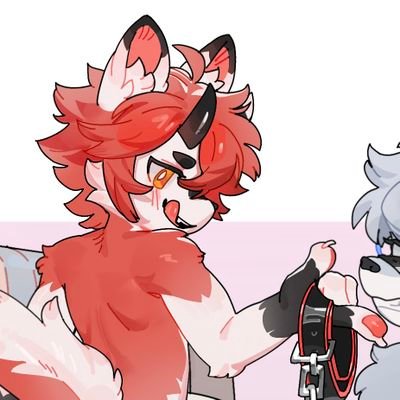 焰枫's profile picture