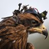 worldordeX.2's profile picture