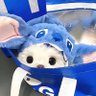 柚子Yomi's profile picture