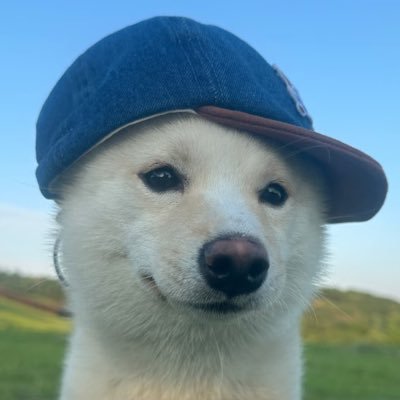 ummm__zzz's profile picture