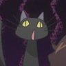 manuela's profile picture