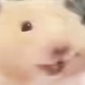 Profilbild von REAL