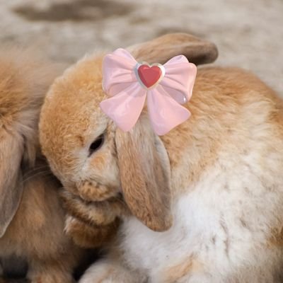 lullabyks's profile picture